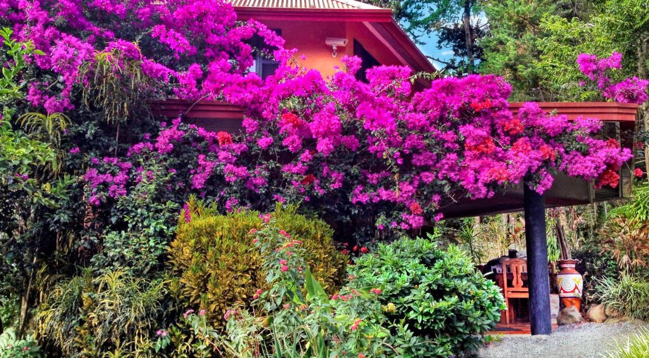 Boquete Garden Inn Εξωτερικό φωτογραφία